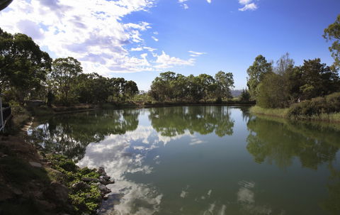 Maggie Beer's Farm Shop - Brisbane Tourism 6
