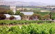Gnadenfrei Estate - thumb 0