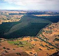 Mount Crawford Forest Reserve - Brisbane Tourism