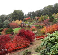 Emu Valley Rhododendron Garden - Tourism Brisbane