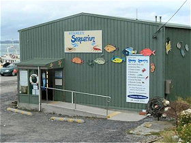 Stanley Seaquarium - Tourism Brisbane 0