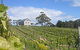 Bruny Island Premium Wines Bar And Grill - thumb 0