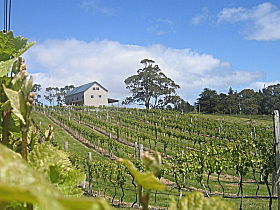 Bruny Island Premium Wines Bar And Grill - Tourism Brisbane 0