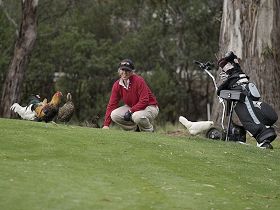 Tasmania Golf Club - The - Brisbane 4u 0