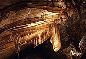Gunns Plains Cave - Tourism Brisbane 0