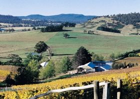 Freycinet Vineyards Pty Ltd - Tourism Brisbane 0