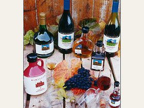 Abels Bay TAS Tourism Brisbane