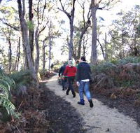 Bridport Walking Track - Brisbane 4u