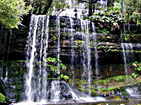 Mt Field National Park - Tourism Brisbane 0