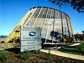Forest EcoCentre - Tourism Brisbane 0