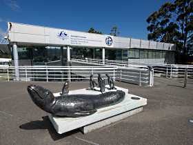 Australia's Antarctic Headquarters - Brisbane Tourism 0