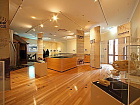 Tasmanian Tiger Exhibition - Tourism Brisbane 0