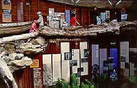 West Coast Visitor Information And Booking Centre - Brisbane Tourism 0