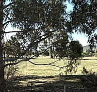 Cygnet Public Golf Course - Brisbane 4u
