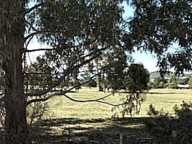 Cygnet Public Golf Course - Tourism Brisbane 0