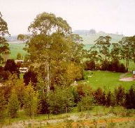 The Tasmanian Arboretum - Tourism Brisbane