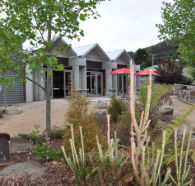 Tin Dragon Interpretation Centre and Cafe - Tourism Brisbane