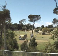 Greens Beach Golf Course - Tourism Brisbane
