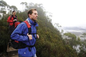 Donaghys Lookout - Tourism Brisbane 0