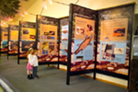 Platypus Experience - Tourism Brisbane 0