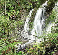 Hogarth Falls - Brisbane 4u