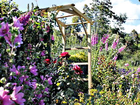 Thelma Retreat Garden And Teahouse - Tourism Brisbane 0