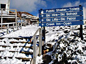 Ben Lomond National Park - Tourism Brisbane 0