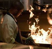 Ellacure - Brisbane Tourism