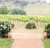 Brindabella Hills Winery - Brisbane Tourism