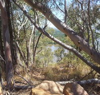 Black Mountain - Brisbane Tourism