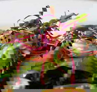 Courgette - Brisbane Tourism