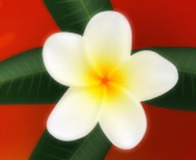 Well Retreat - Day Spa And Teahouse - Brisbane Tourism 0