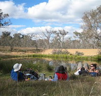 Canberra Nature Park - Brisbane Tourism