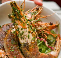 Bicicletta - Brisbane Tourism