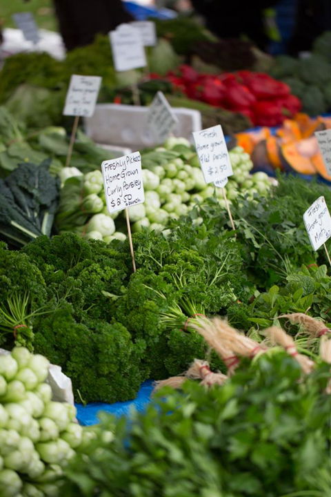 Salamanca Market - Tourism Brisbane 5