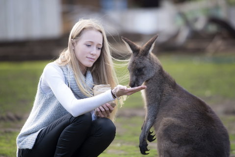 Bonorong Wildlife Sanctuary - Tourism Brisbane 0