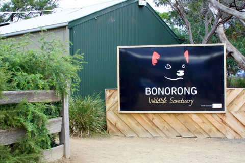 Bonorong Wildlife Sanctuary - Tourism Brisbane 1