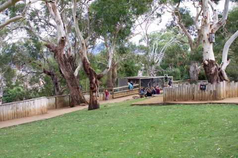 Bonorong Wildlife Sanctuary - Tourism Brisbane 2