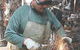 Tasmanian Copper And Metal Art Gallery - thumb 0