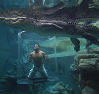 Crocosaurus Cove - Tourism Brisbane