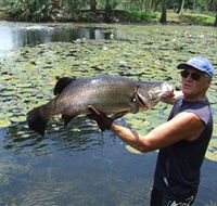 Barra Feeding - Tourism Brisbane