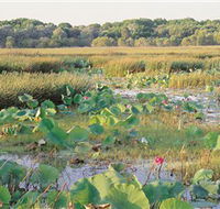 Fogg Dam Conservation Reserve - Tourism Brisbane
