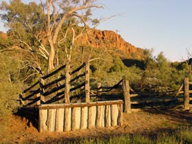 Illamurta Springs Conservation Reserve - Tourism Brisbane 0