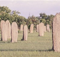 Magnetic Termite Mounds - Tourism Brisbane
