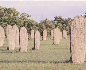 Magnetic Termite Mounds - Tourism Brisbane 0
