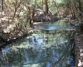 Katherine Hot Springs - Tourism Brisbane 0