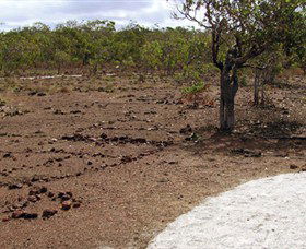 Wurrwurrwuy Garanhan Macassan Beach Interpretive Walk - Tourism Brisbane 0
