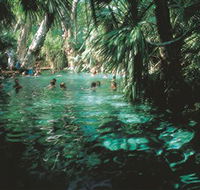 Mataranka Thermal Pool - Tourism Brisbane
