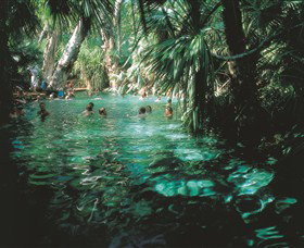 Mataranka Thermal Pool - Tourism Brisbane 0