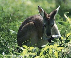  Tourism Brisbane